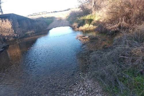 imagen 2 de Venta de olivar en La Nava de Santiago (Badajoz)