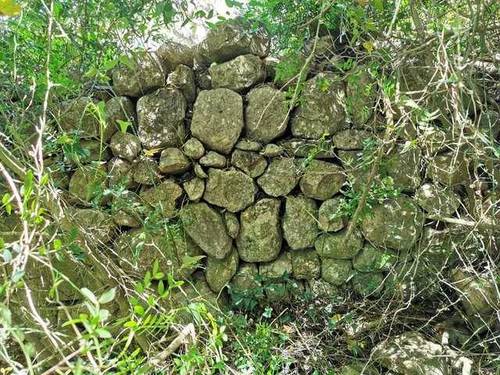 imagen 3 de Venta de finca de almendros en San Juan (Mallorca)