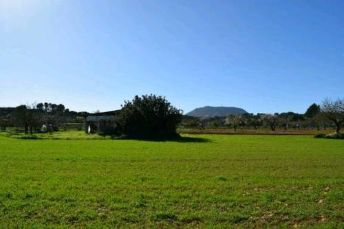 imagen 2 de Venta de finca en Montuiri (Mallorca)