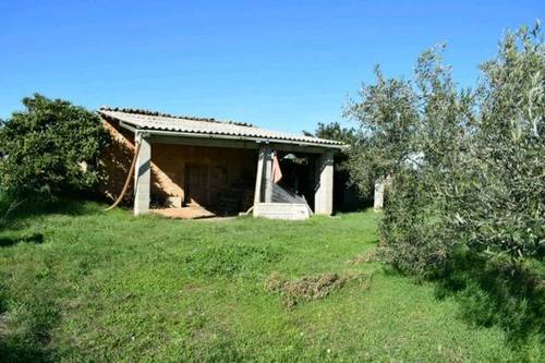 imagen 3 de Venta de finca en Montuiri (Mallorca)
