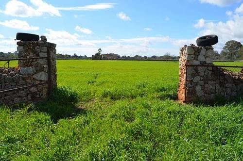 imagen 1 de Venta de parcela en Inca (Mallorca)