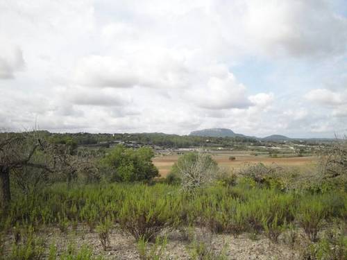 imagen 1 de Venta de finca entre Montuiri y Porreras (Mallorca)