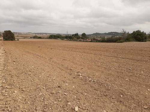 imagen 1 de Venta de finca en Santa Margalida/Margalita (Mallorca)