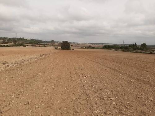 imagen 2 de Venta de finca en Santa Margalida/Margalita (Mallorca)