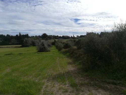 imagen 1 de Venta de terreno en Muro (Mallorca)