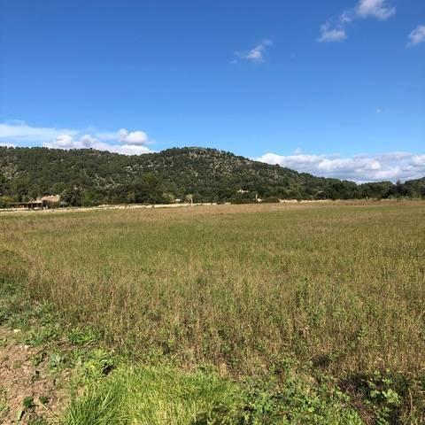 imagen 1 de Venta de finca en Pollença/Pollensa (Mallorca)