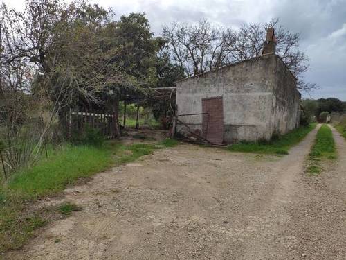 imagen 2 de Venta de parcela en Búger (Mallorca)