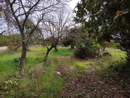 imagen 1 de Venta de parcela en Búger (Mallorca)