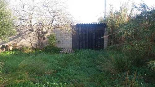 imagen 1 de Venta de finca con pozo y alberca en Campanet (Mallorca)