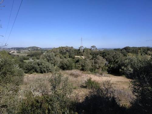 imagen 2 de Venta de finca con caseta en Llubí (Mallorca)