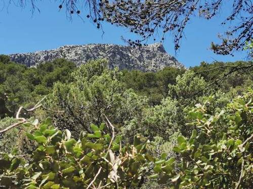 imagen 1 de Venta de manífica finca de capricho en Puigpuñent/Puigpunyent (Mallorca)