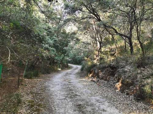 imagen 1 de Venta de manífica finca de capricho en Puigpuñent/Puigpunyent (Mallorca)