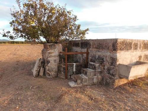 imagen 1 de Venta de finca con caseta y pozo en Petra (Mallorca)