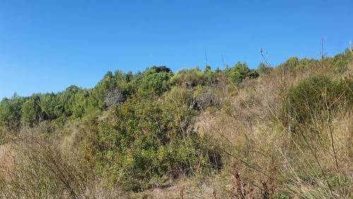 imagen 1 de Venta de terreno en Castellbisbal (Barcelona)