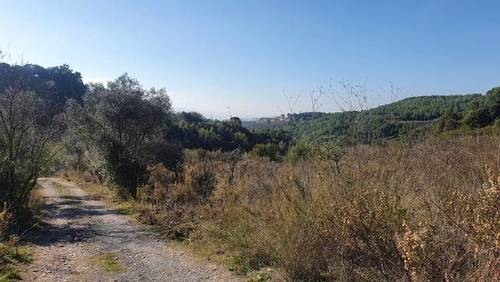 imagen 3 de Venta de terreno en Castellbisbal (Barcelona)