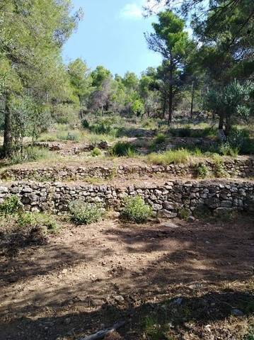 imagen 1 de Venta de estupenda finca en Esparreguera/Esparraguera (Barcelona)
