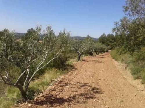 imagen 1 de Venta de estupenda finca en Esparreguera/Esparraguera (Barcelona)