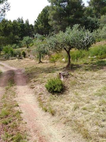 imagen 2 de Venta de estupenda finca en Esparreguera/Esparraguera (Barcelona)