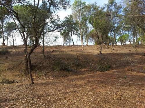 imagen 1 de Venta de estupendo terreno en Canet de mar (Barcelona)