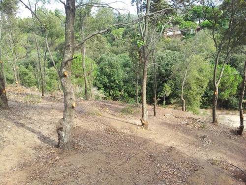 imagen 1 de Venta de estupendo terreno en Canet de mar (Barcelona)