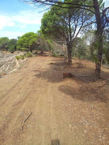 imagen 2 de Venta de estupendo terreno en Canet de mar (Barcelona)