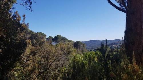 imagen 1 de Venta de finca en Sant Cebrià de Vallalta/ San Cipriano de Vallalta (Barcelona)