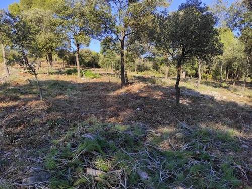 imagen 1 de Venta de terreno y finca forestal en Castellnou de Bages (Barcelona)