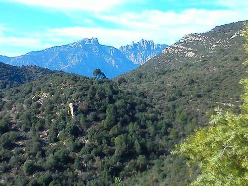 imagen 1 de Venta finca con impresionantes vistas en Abrera (Barcelona)