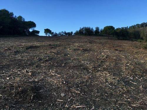 imagen 2 de Venta de finca en la L'Ametlla del Vallès/La Ametlla (Barcelona)