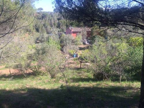 imagen 1 de Venta de olivar con casa y pozo en Castellbisbal (Barcelona)