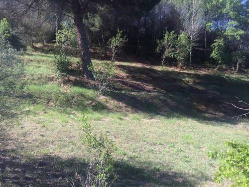 imagen 2 de Venta de olivar con casa y pozo en Castellbisbal (Barcelona)