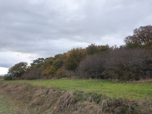 imagen 1 de Venta de fincas en Arija (Burgos)