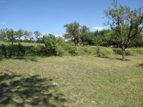 imagen 2 de Venta de finca. Gran oportunidad en Briviesca (Burgos)