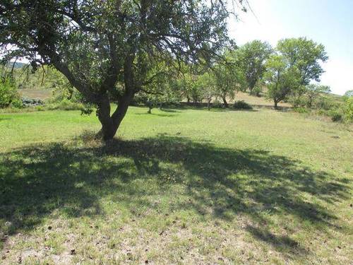 imagen 1 de Venta de finca. Gran oportunidad en Briviesca (Burgos)