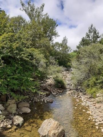 imagen 1 de Venta de finca "La ramera" en Espinosa de los Monteros (Burgos)