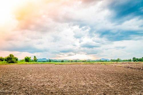imagen 2 de Venta de fincas de labranza en Atapuerca (Burgos)