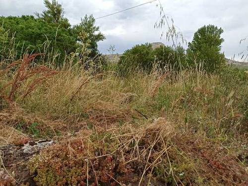 imagen 2 de Venta de finca, solar en Ordejón de Abajo (Burgos)