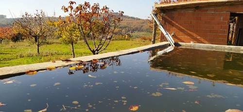 imagen 1 de Venta de finca de cerezos en Torremenga (Cáceres)