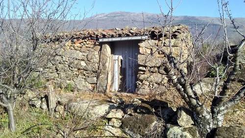 imagen 1 de Venta finca de cerezos en Valdastillas (Cáceres)
