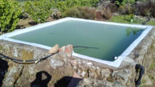 imagen 3 de Venta finca de cerezos en Valdastillas (Cáceres)