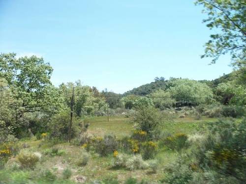 imagen 3 de Venta de gran finca en Madrigal de la Vera (Cáceres)