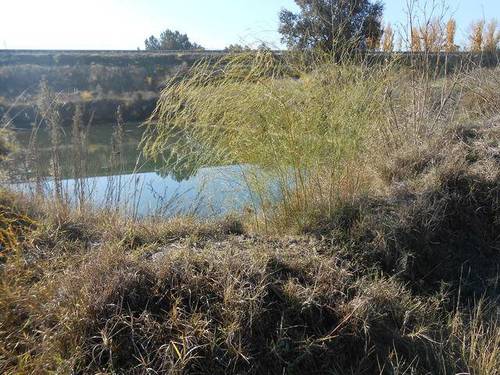 imagen 1 de Venta de fincas y parcelas en Jaraíz de la Vera (Cáceres)