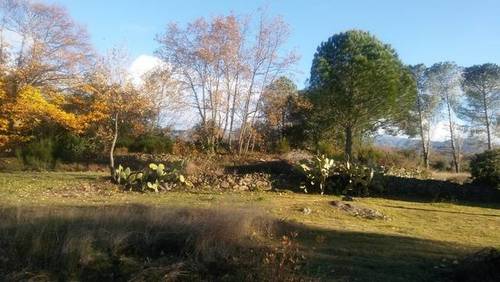 imagen 1 de Venta de magnífico terreno en Cuacos de Yuste (Cáceres)