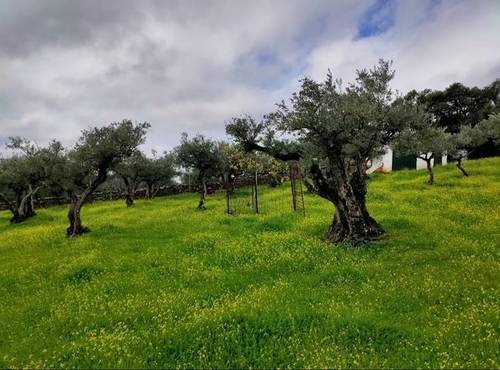 imagen 2 de Venta de finca en Serradilla (Cáceres)