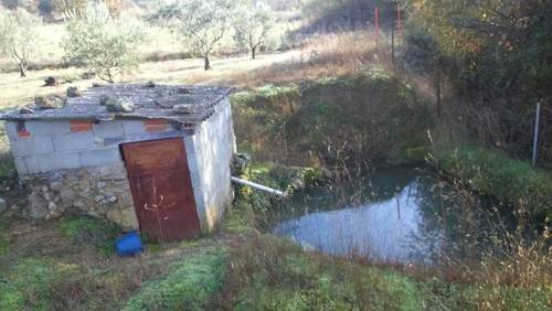 imagen 3 de Venta de finca olivar en Talaveruela de la Vera (Cáceres)