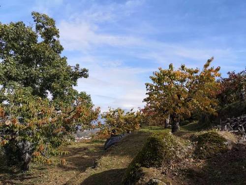 imagen 3 de Venta de linda finca en Cabrero (Cáceres)