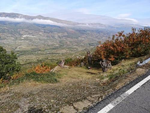 imagen 2 de Venta de linda finca en Cabrero (Cáceres)