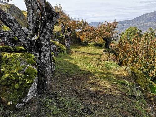 imagen 1 de Venta de linda finca en Cabrero (Cáceres)