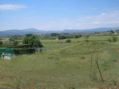 imagen 1 de Venta finca de regadío en Moraleja (Cáceres)