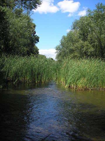 imagen 1 de Venta de huerta junto al río en Moraleja (Cáceres)